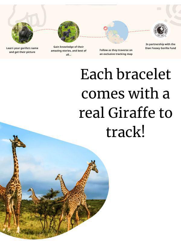 Fahlo Giraffe Tracking Trek Bracelet