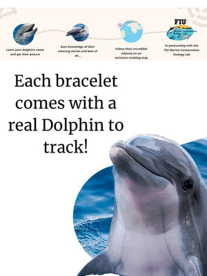 Fahlo Dolphin Tracking Odyssey Bracelet