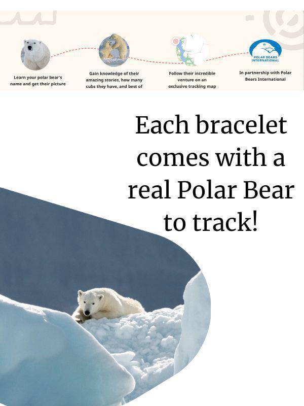 Fahlo Polar Bear Tracking Venture Bracelet