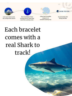 Fahlo Shark Tracking Voyage Bracelet